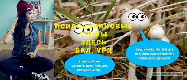стафф Армянск