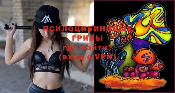 стафф Армянск