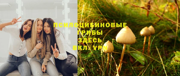 spice Аркадак