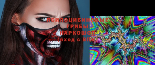 spice Аркадак