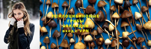 spice Аркадак