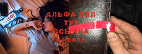 spice Аркадак